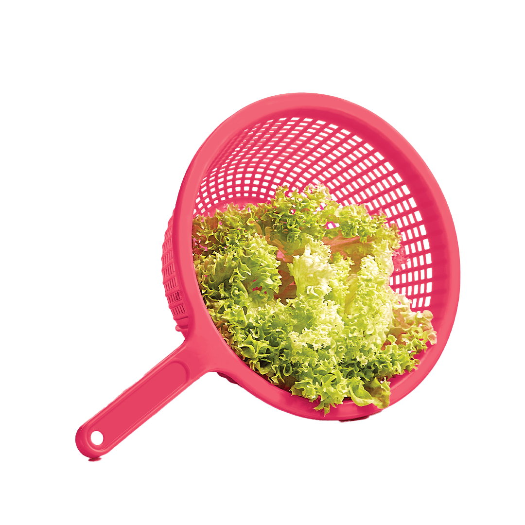 Colador Plástico Fucsia Pasta Verduras 26.5 cm ¡Liquidación!