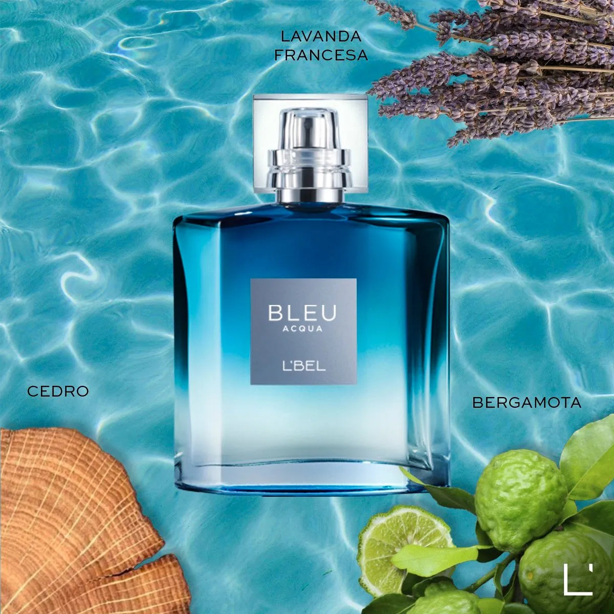 Perfume de Hombre Bleu Acqua Cont. 100 ml